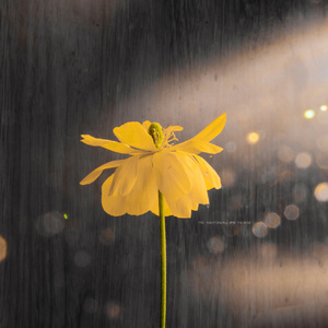 亚洲人色大成年网站在线观看
